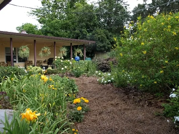 Trusted lawn care service in Sanford, FL - Earthwise Horticultural Services