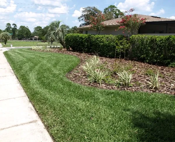 Reliable landscape installation for year-round maintenance across Sanford, FL - Earthwise Horticultural Services