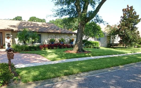 Expert yard cleanup service in Sanford, FL - Earthwise Horticultural Services