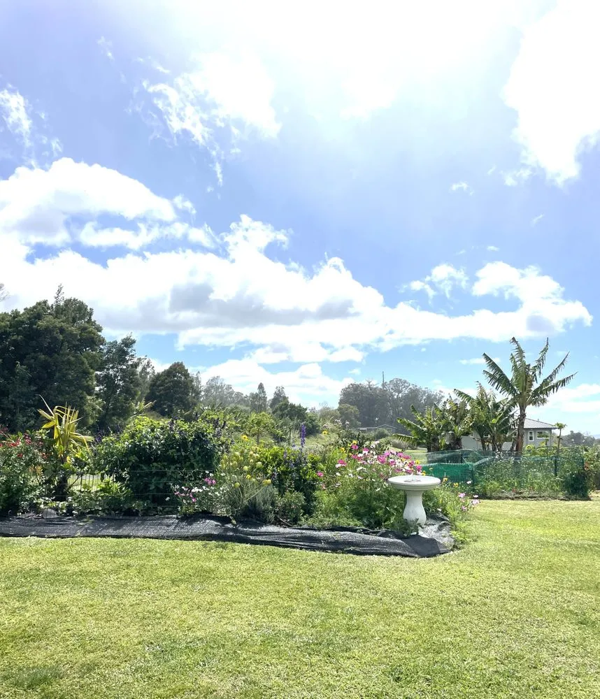 Affordable yard cleanup service in Makawao, HI by Earthwise Landscape Contracting & Maintenance