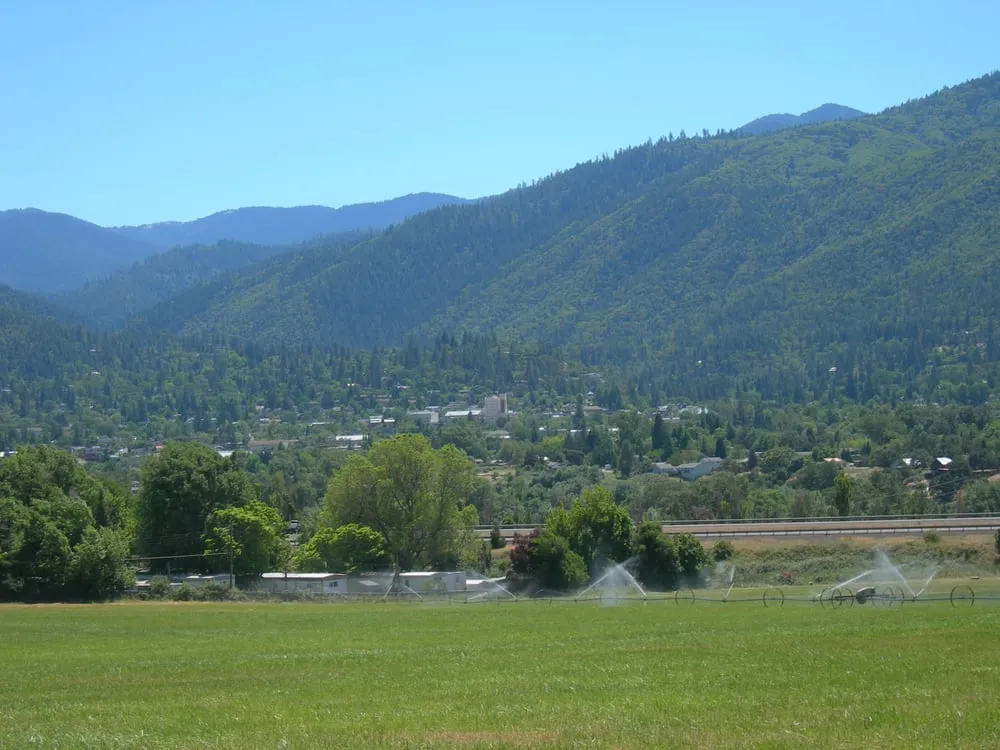 Trusted yard cleanup service near you across Makawao, HI - Earthwise Landscape Contracting & Maintenance