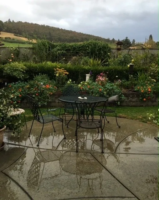 Affordable lawn mowing service in Makawao, HI - Earthwise Landscape Contracting & Maintenance