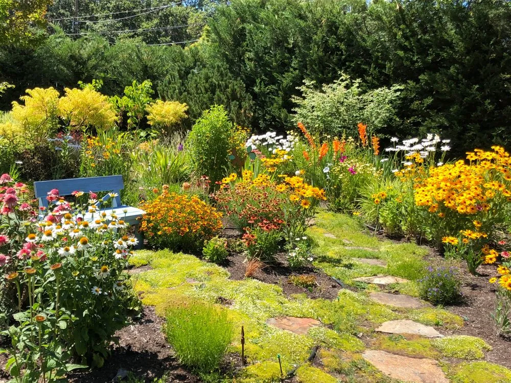 Expert lawn care service in Makawao, HI - Earthwise Landscape Contracting & Maintenance