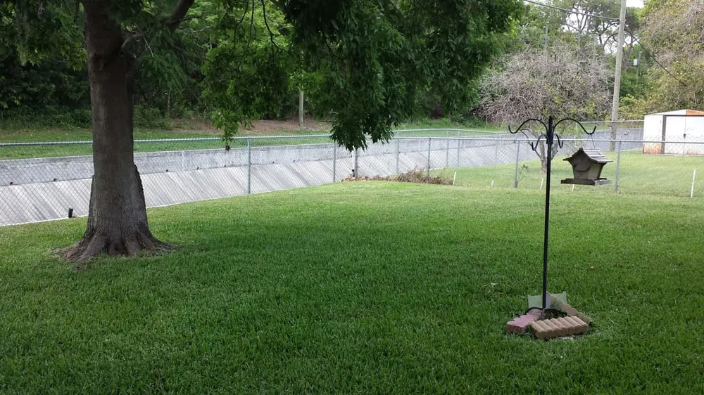 Local lawn mowing service in St. Petersburg, FL by Earthwise Lawn and Landscape