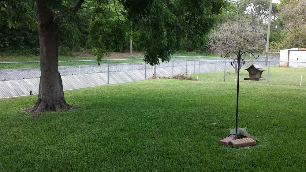 Local landscape design for outdoor upgrades across St. Petersburg, FL - Earthwise Lawn and Landscape