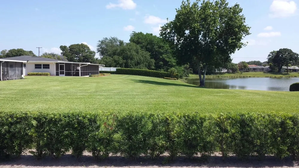 Affordable lawn mowing service in St. Petersburg, FL - Earthwise Lawn and Landscape