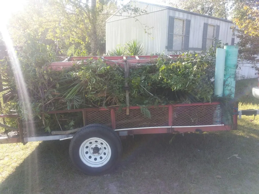 Expert landscape design for homes across Ellabell, GA - Earthwise Lawn Care Service