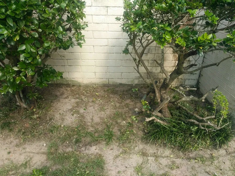 Local residential landscaping experts serving Ellabell, GA - Earthwise Lawn Care Service