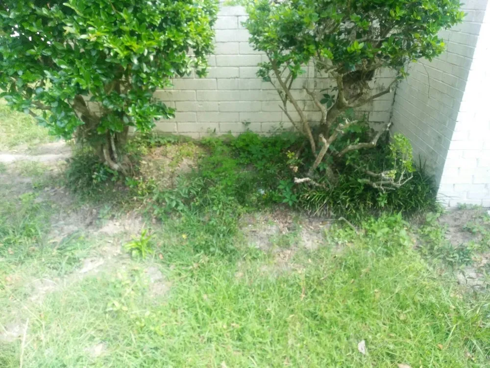 Affordable yard cleanup service in Ellabell, GA - Earthwise Lawn Care Service