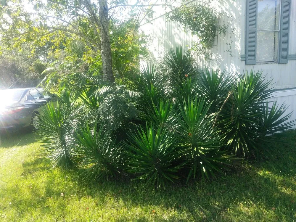 Custom landscape design with custom design in Ellabell, GA by Earthwise Lawn Care Service