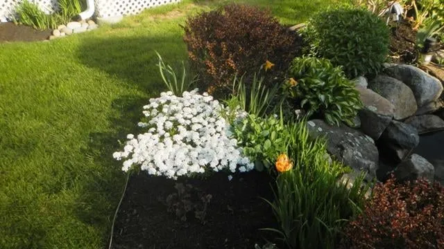 Reliable lawn care service in Rockport, MA - Earthworks Constructors