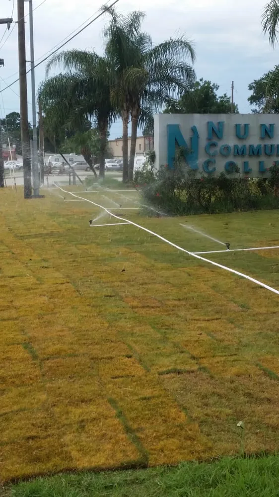 Local garden landscaping for beautiful yards in Pass Christian, MS by Earthworks Design, Inc