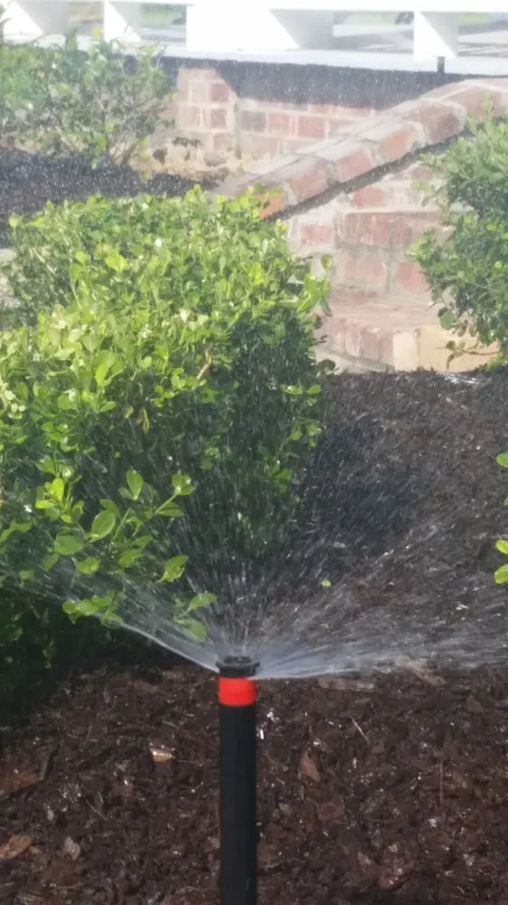 Local landscape installation experts serving Pass Christian, MS - Earthworks Design, Inc