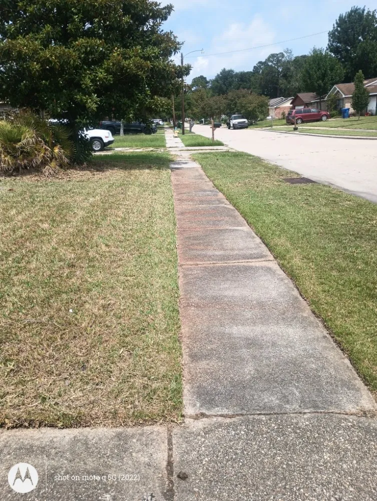 Trusted yard maintenance in Lacombe, LA - Earthworks