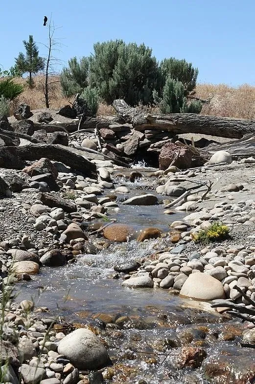 Trusted lawn care service with custom design in Houston, TX by Earthworks Landscape and Maintenance