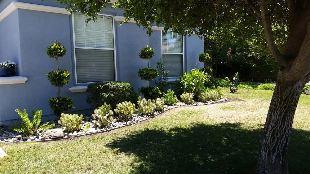 Custom yard cleanup service in Morgan Hill, CA - Earthworks Landscape, Inc.