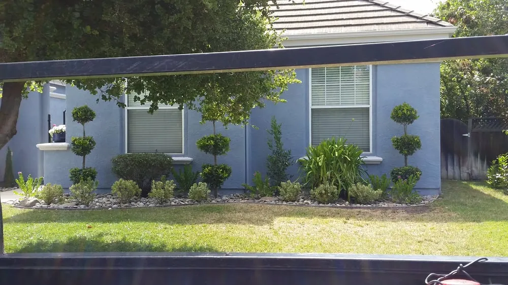 Local lawn care service experts serving Morgan Hill, CA - Earthworks Landscape, Inc.