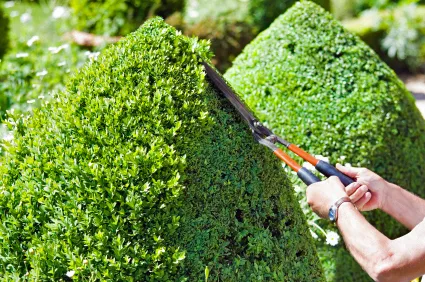Custom yard maintenance for year-round maintenance in West Bloomfield, MI by Earthworks Landscape Services Inc