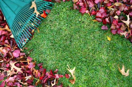 Reliable lawn mowing service with custom design across West Bloomfield, MI - Earthworks Landscape Services Inc