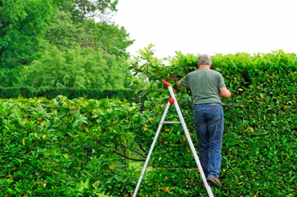 Top-rated lawn mowing service for outdoor upgrades in West Bloomfield, MI by Earthworks Landscape Services Inc
