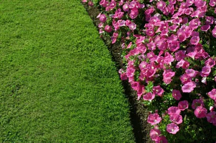 Professional landscape design near you across West Bloomfield, MI - Earthworks Landscape Services Inc