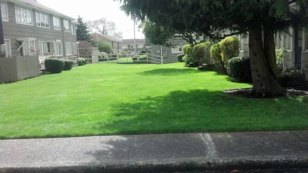 Trusted yard maintenance in Mukilteo, WA - Earthworks Landscape Services