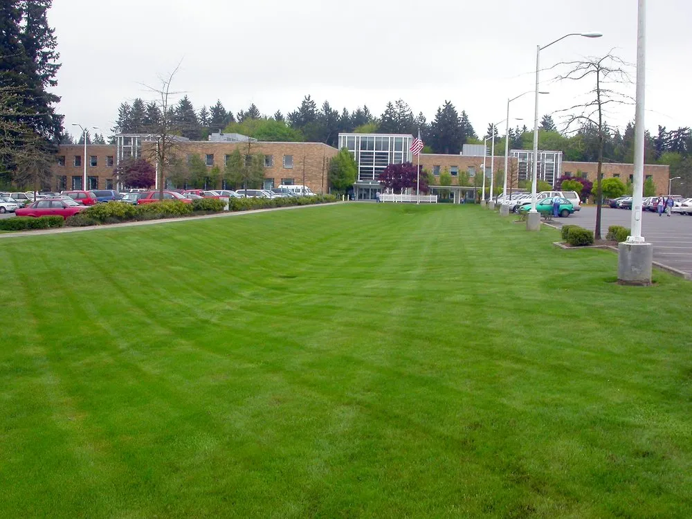 Expert landscape design in Mukilteo, WA - Earthworks Landscape Services