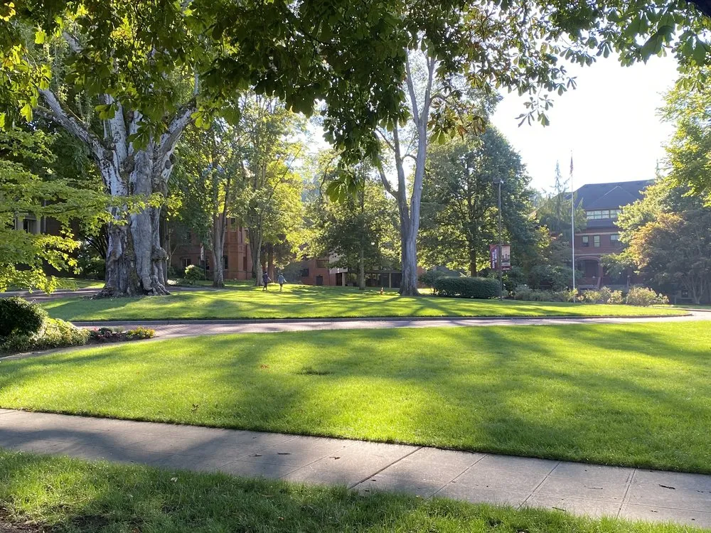 Trusted yard maintenance in Mukilteo, WA - Earthworks Landscape Services