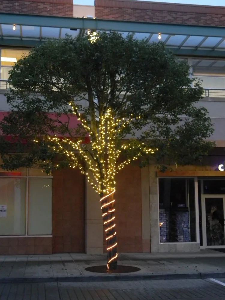 Local landscaping services near you in Mukilteo, WA by Earthworks Landscape Services