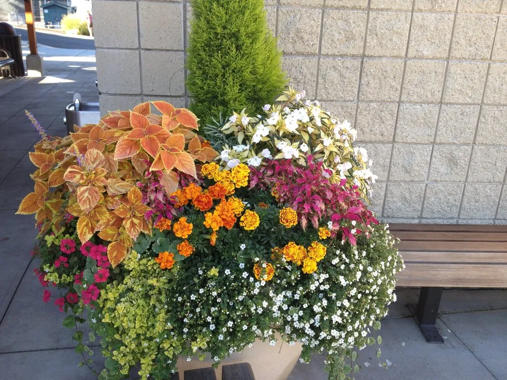 Trusted landscaping services for residential properties across Mukilteo, WA - Earthworks Landscape Services