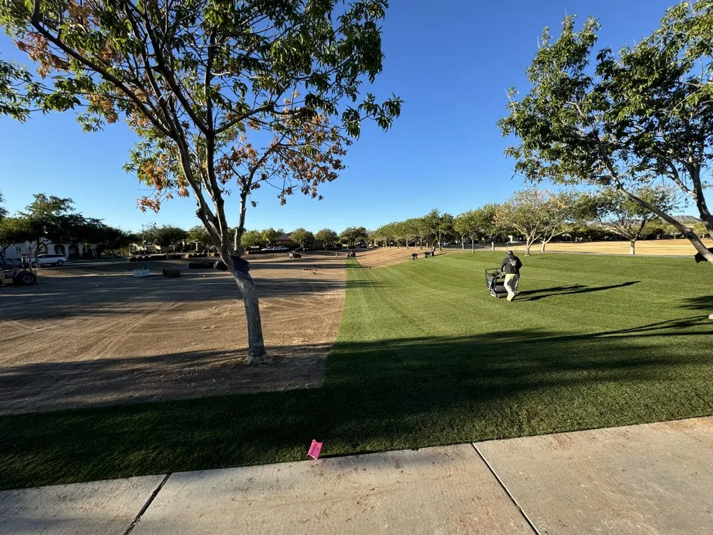 Local garden landscaping in Higley, AZ by Earthworks Landscape Solutions