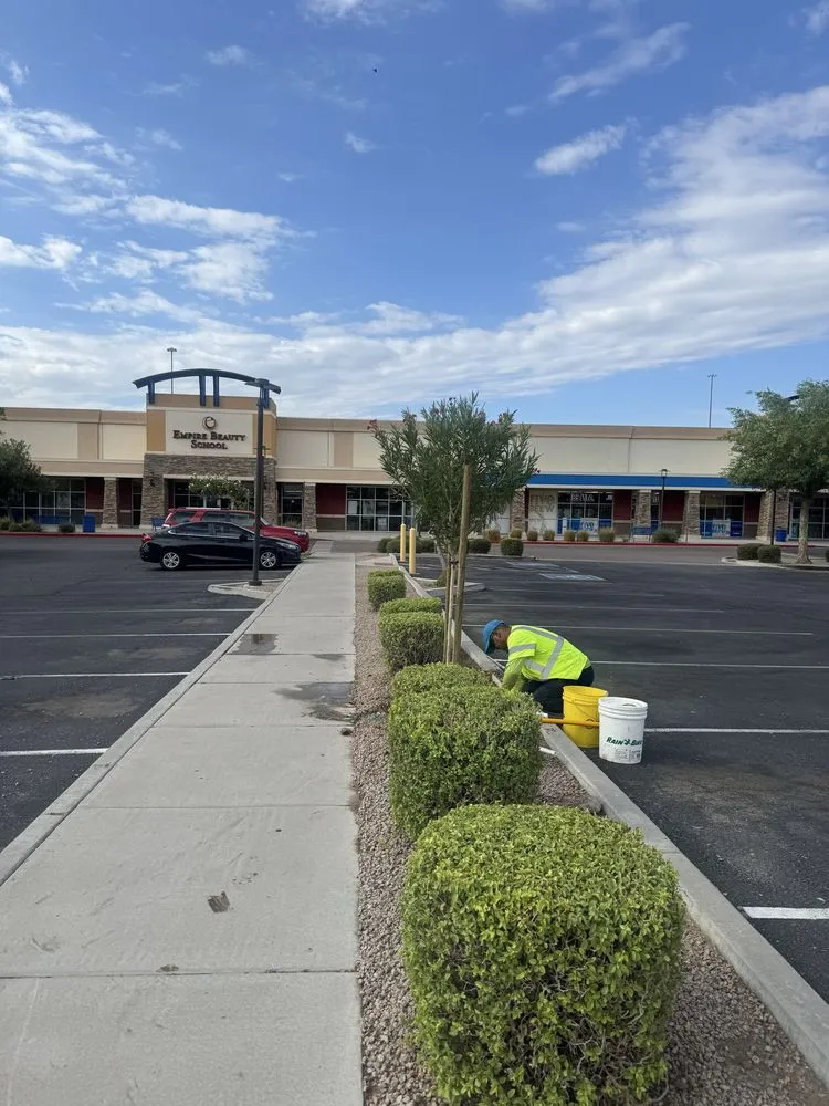 Affordable yard maintenance for beautiful yards in Higley, AZ by Earthworks Landscape Solutions