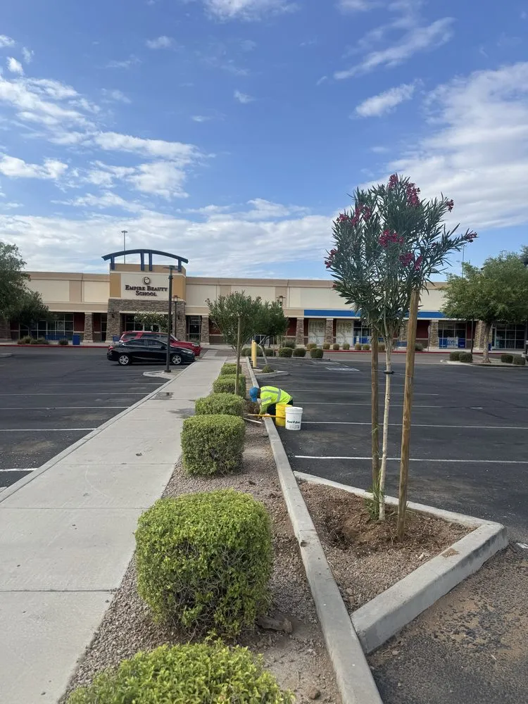 Professional outdoor landscaping for residential properties across Higley, AZ - Earthworks Landscape Solutions