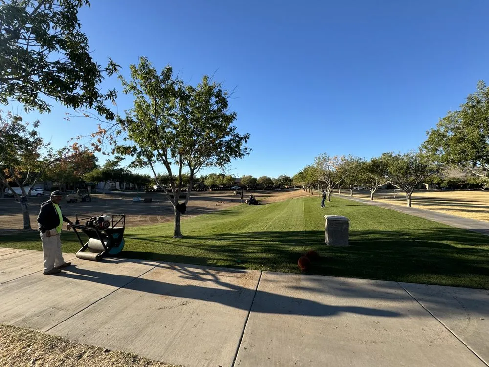 Reliable lawn care service for beautiful yards across Higley, AZ - Earthworks Landscape Solutions