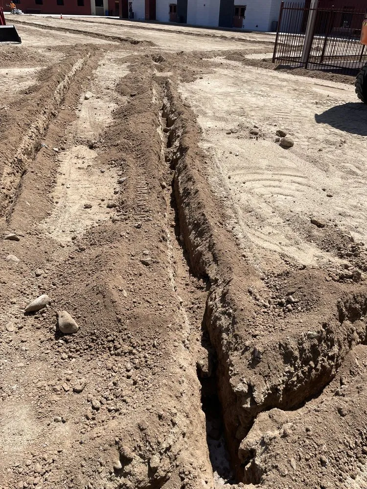 Expert yard maintenance experts serving Higley, AZ - Earthworks Landscape Solutions