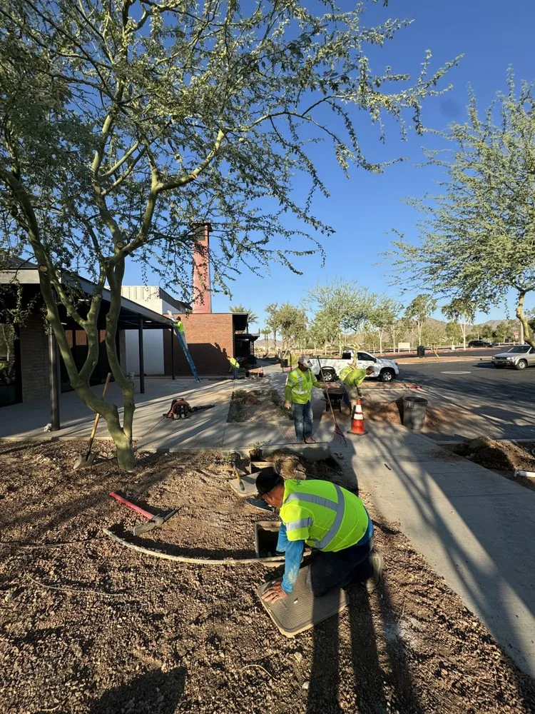 Trusted landscape design experts serving Higley, AZ - Earthworks Landscape Solutions