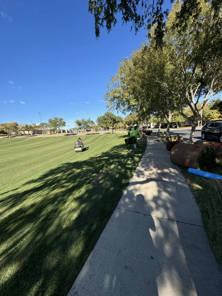 Expert lawn mowing service near you in Higley, AZ by Earthworks Landscape Solutions
