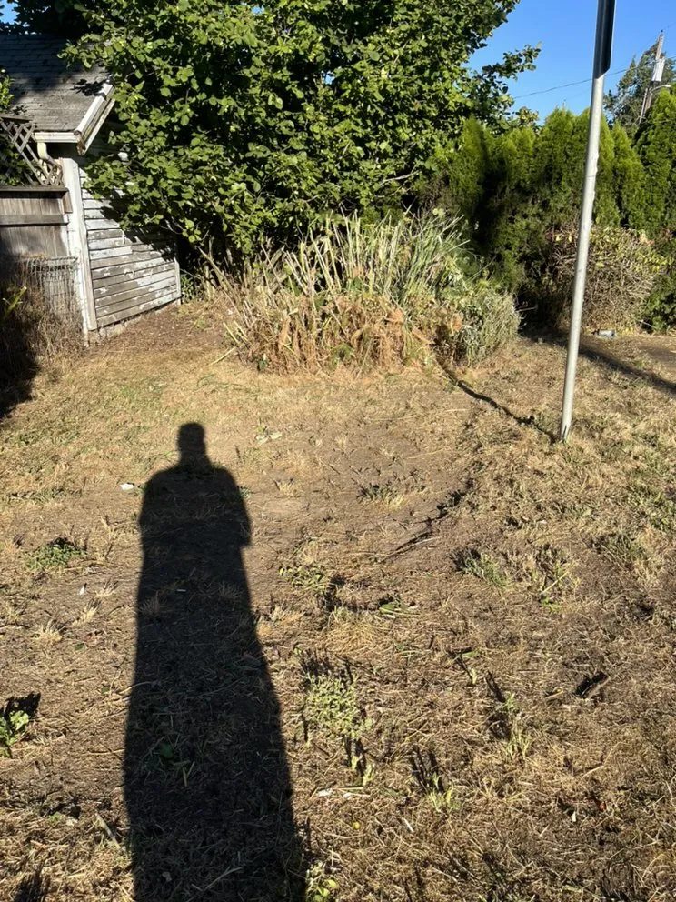 Expert yard maintenance in Gresham, OR - Earthworks Landscaping