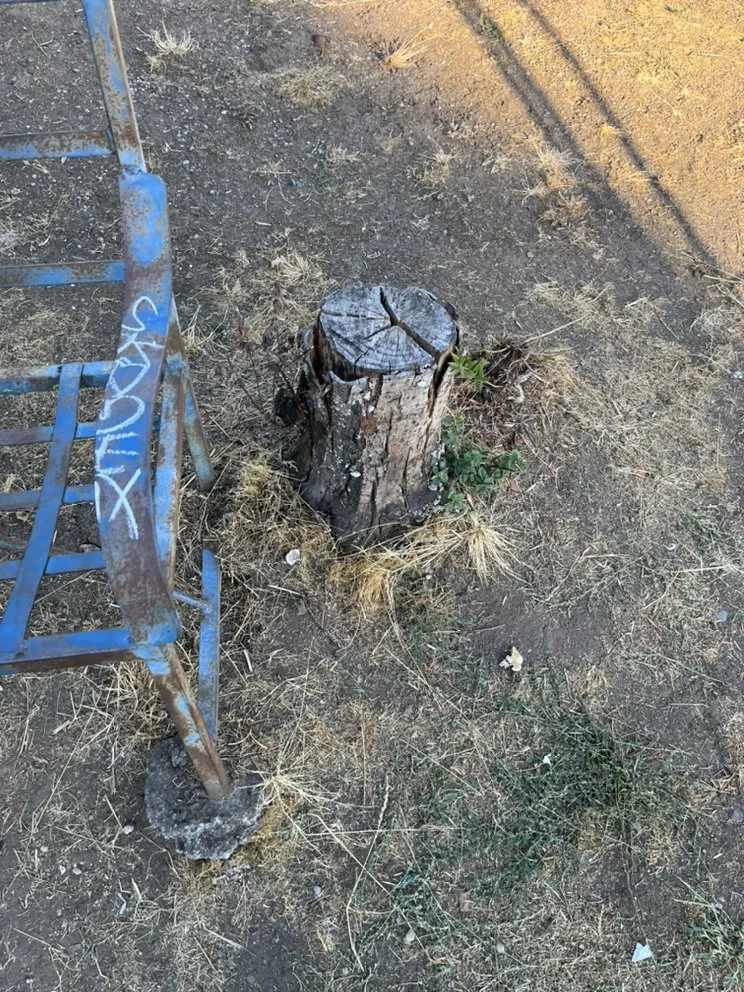 Custom lawn care service in Gresham, OR by Earthworks Landscaping