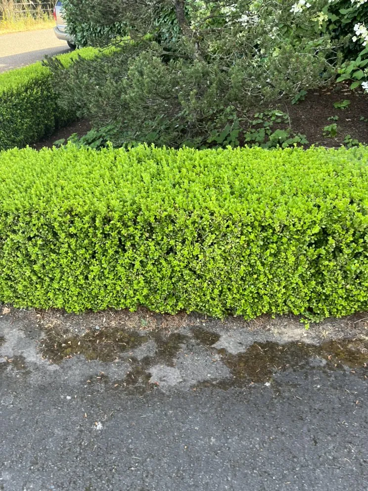 Professional landscape installation for year-round maintenance across Gresham, OR - Earthworks Landscaping