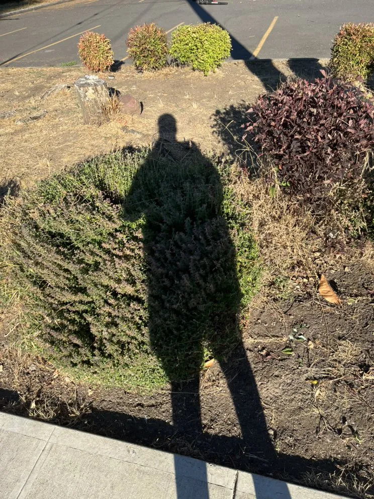 Local landscaping services for residential properties in Gresham, OR by Earthworks Landscaping