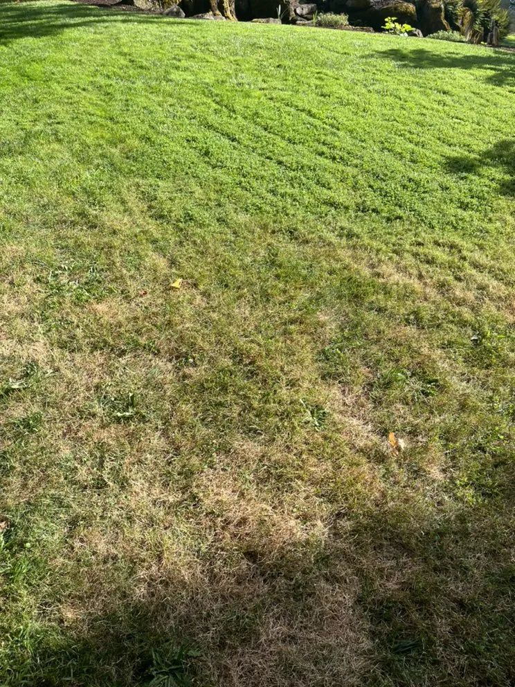 Affordable yard maintenance for year-round maintenance across Gresham, OR - Earthworks Landscaping