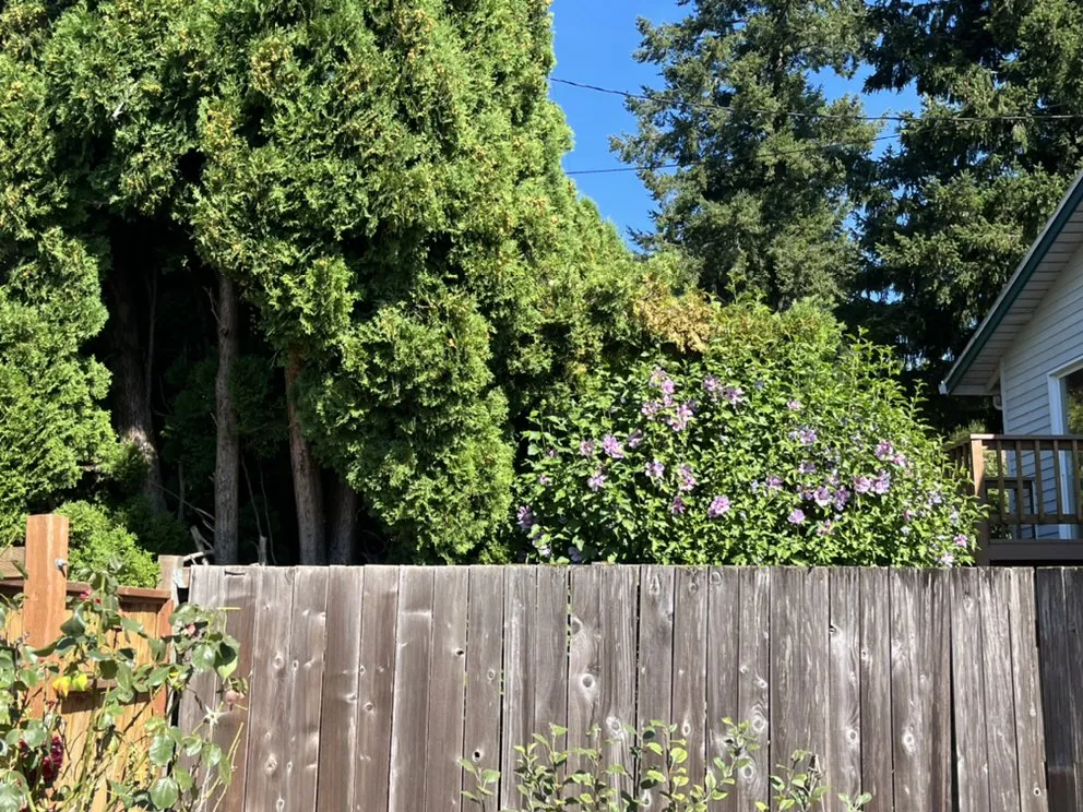 Local outdoor landscaping experts serving Gresham, OR - Earthworks Landscaping