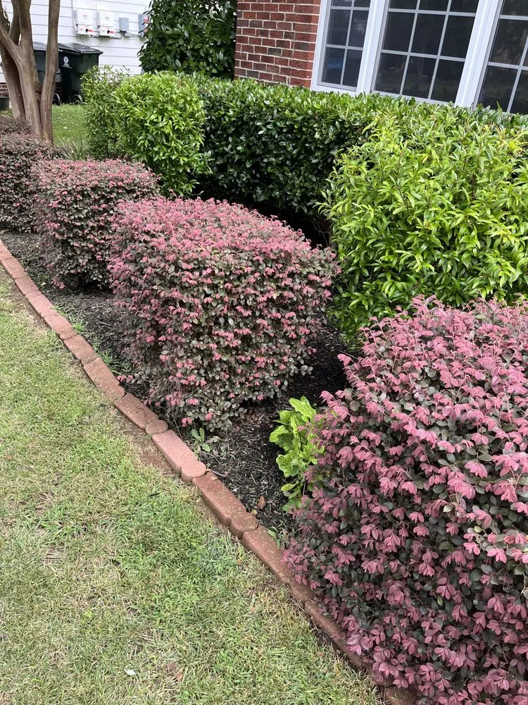 Affordable lawn mowing service experts serving Knightdale, NC - Earthworks Landscaping