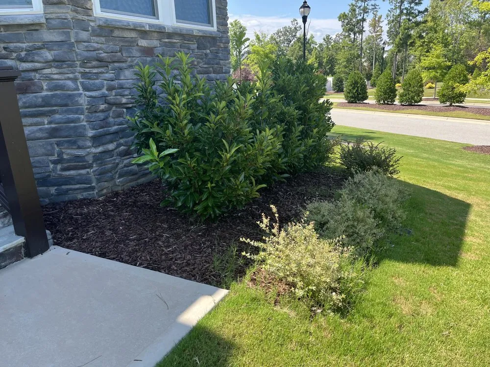 Trusted landscape installation for year-round maintenance across Knightdale, NC - Earthworks Landscaping