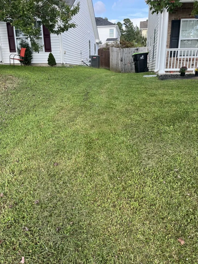 Top-rated landscaping services in Knightdale, NC - Earthworks Landscaping