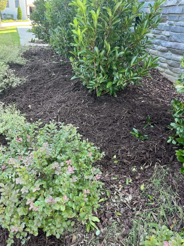 Professional outdoor landscaping in Knightdale, NC by Earthworks Landscaping