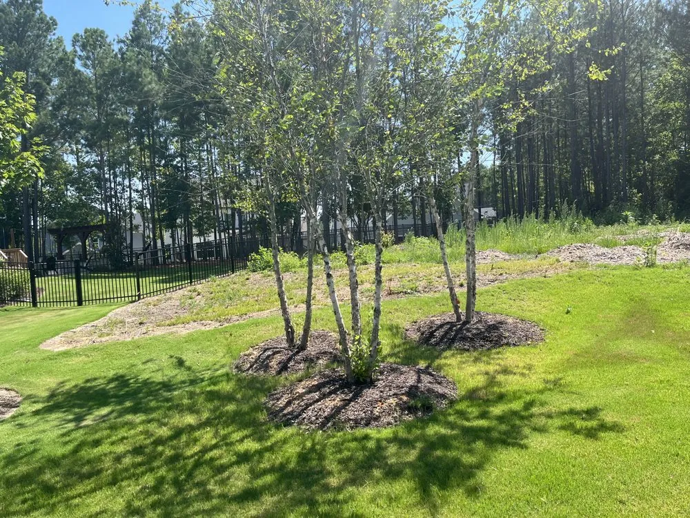 Reliable landscape installation for year-round maintenance in Knightdale, NC by Earthworks Landscaping