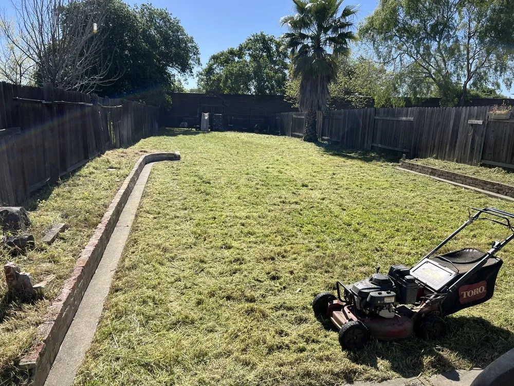 Reliable garden landscaping for year-round maintenance across Sacramento, CA - Earthworks Landscaping