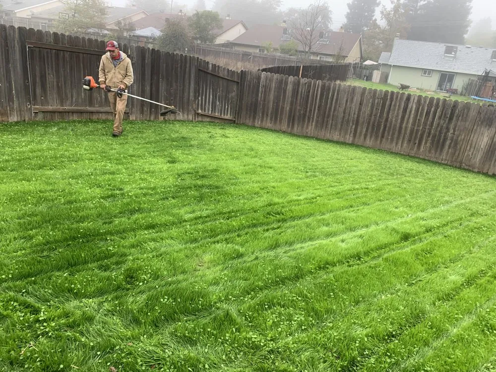 Expert yard cleanup service in Sacramento, CA - Earthworks Landscaping